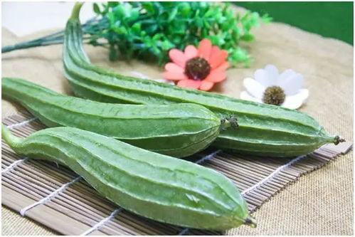吃八棱瓜禁忌人群,这些人群需谨慎食用