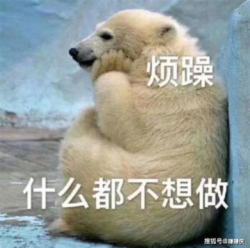 感恩吃瓜群众图片,吃瓜群众的温馨瞬间