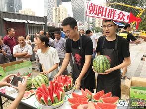 热心朝阳的吃瓜,揭秘吃瓜群众的趣味生活