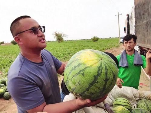 吃瓜叫兽,网络红人的崛起与争议
