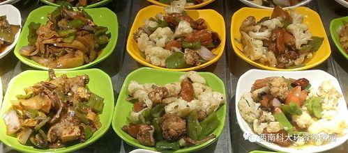 广油西南饭堂吃瓜,吃瓜群众的美食聚集地