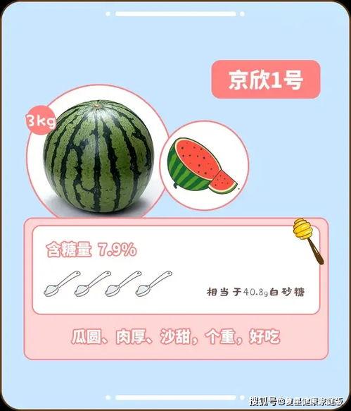 吃瓜指南图片,图解如何成为瓜界达人