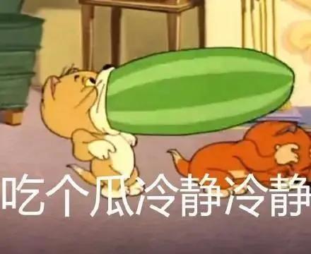 猫和老鼠汤姆吃瓜,汤姆猫的夏日瓜果盛宴