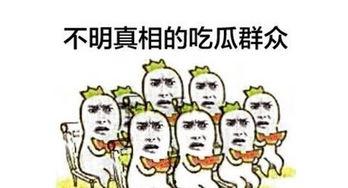 吃瓜群众怎么学习,吃瓜群众如何轻松学习新技能