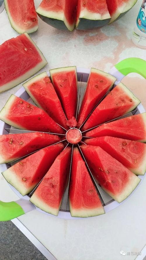 烟台吃瓜大赛,吃瓜大赛狂欢盛宴