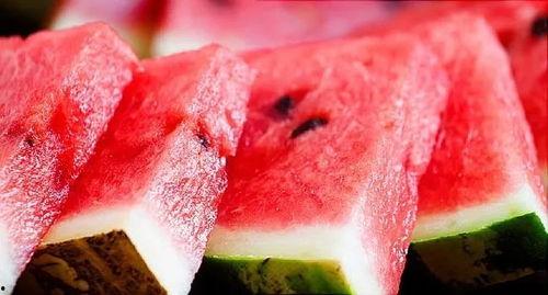 蛇皮吃瓜,瓜田里的神秘食客