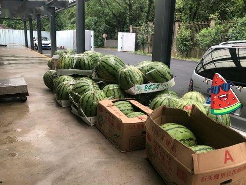 吃瓜直击现场,现场揭秘娱乐圈幕后风云