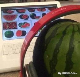 看瓜吃啥片,揭秘娱乐圈幕后那些事儿