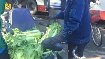 缅甸吃冰棍吃瓜视频,冰棍与瓜果的清凉盛宴