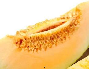 吃蜜瓜嘴流血,吃瓜嘴流血的惊悚体验