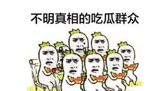 我的吃瓜群众,吃瓜群众视角下的娱乐圈风云录