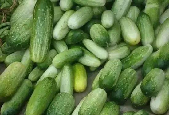 云南刺角瓜怎么吃,独特风味的多样化食用指南