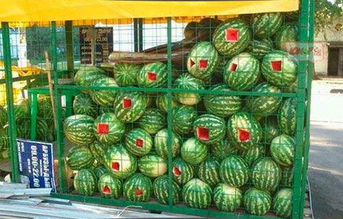 莫斯科吃瓜视频,一场视觉与味觉的双重盛宴