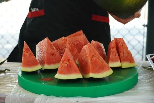 沈职吃瓜,揭秘那些年我们一起吃瓜的日子