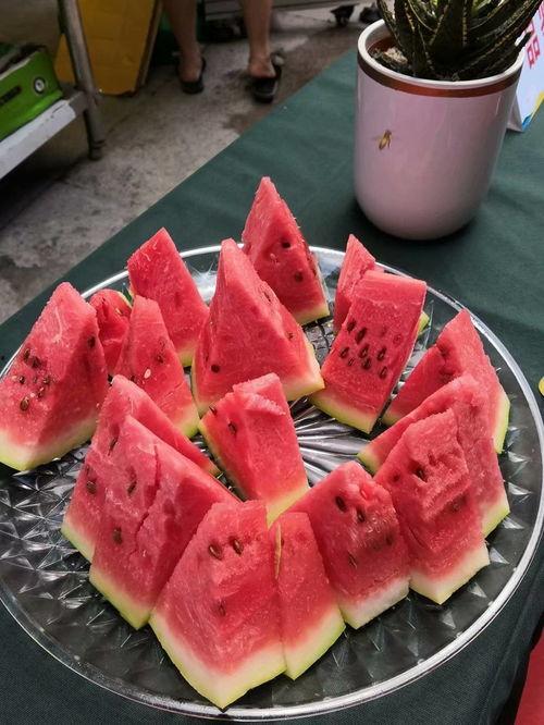 重庆文理吃瓜,瓜香四溢，趣事连连