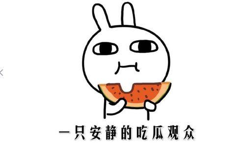 吃瓜逗人玩,揭秘娱乐圈幕后趣闻