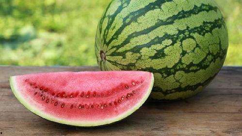 瓜地吃瓜能不能喝茶,瓜地吃瓜与茶文化的完美邂逅